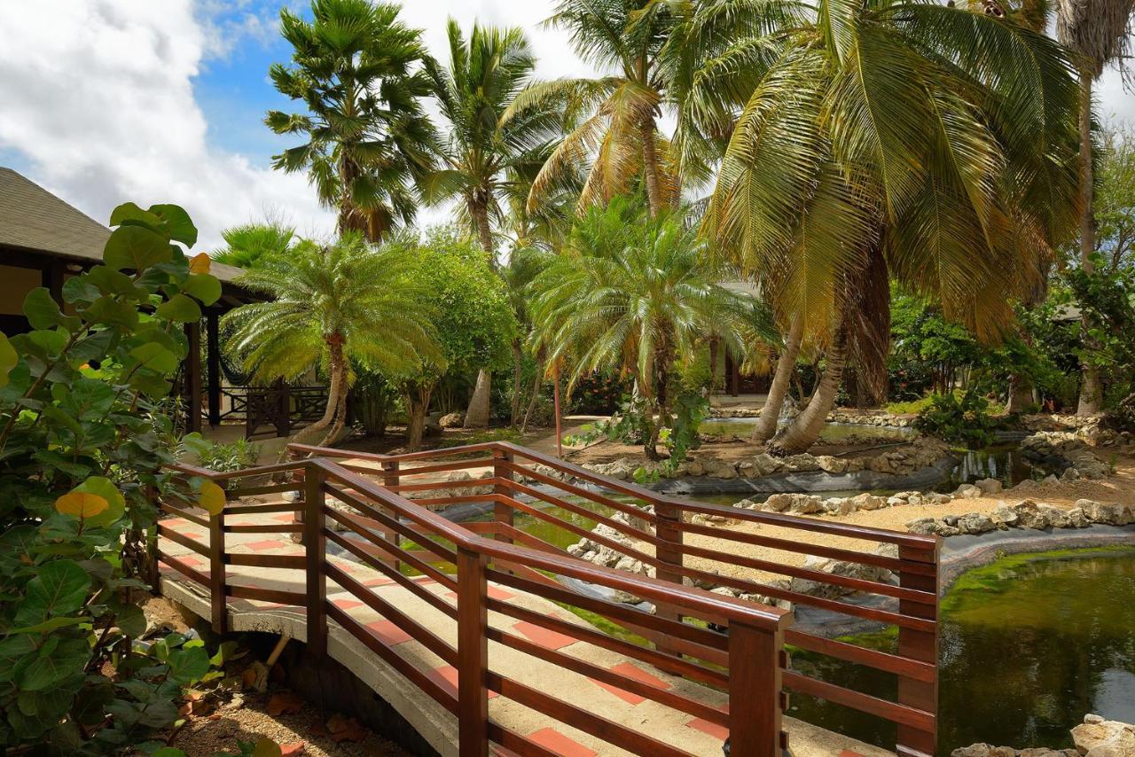 Captain Don'S Habitat Playa Kültér fotó